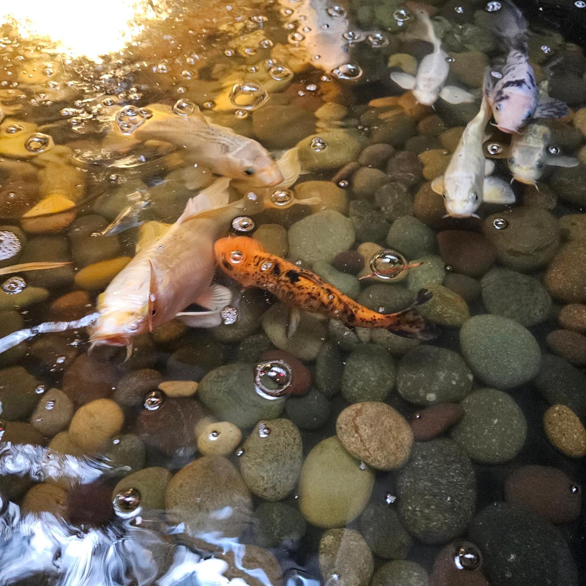 Hotel Rio Rita 티후아나 외부 사진